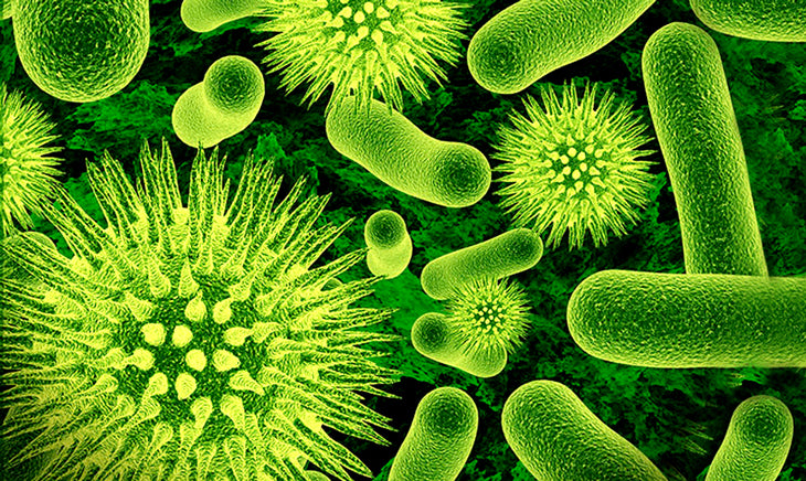 All the little bacteria that help with paleo food preservation.