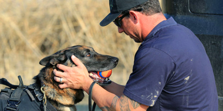 Paleo Treats® Episode 11: Mike Ritland, Navy SEAL & dog trainer
