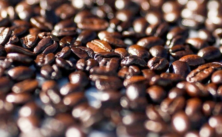 Luxury coffee beans