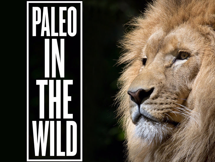 Paleo In The Wild