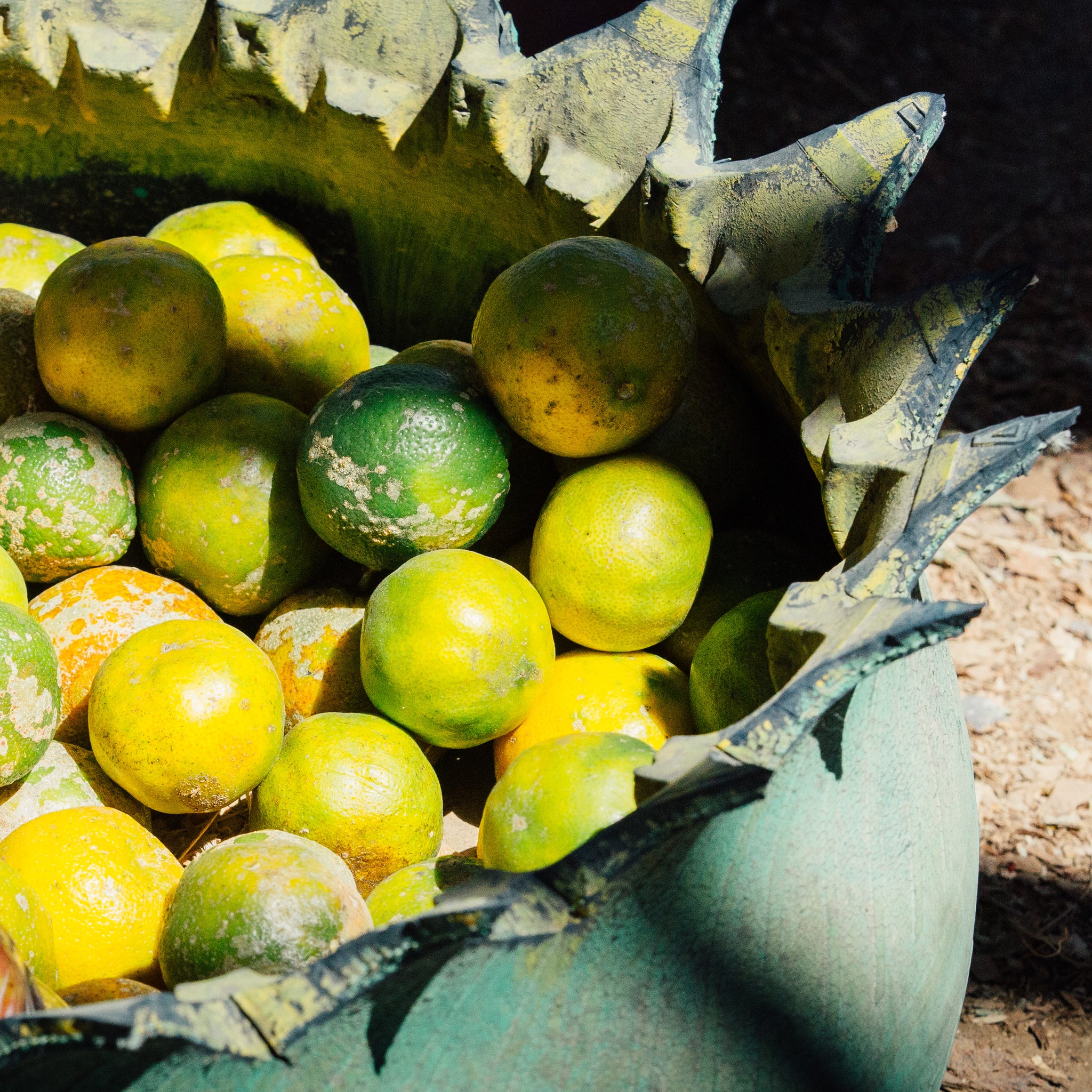 limes in a basket