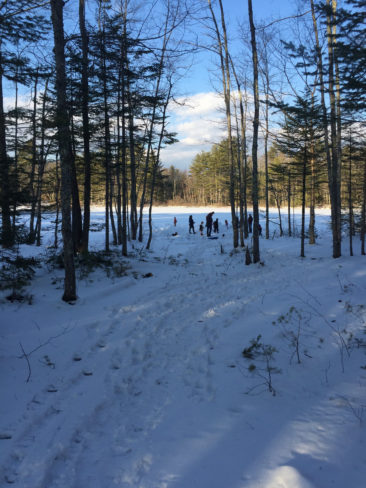 Glimpse in the Woods of a frozen pond