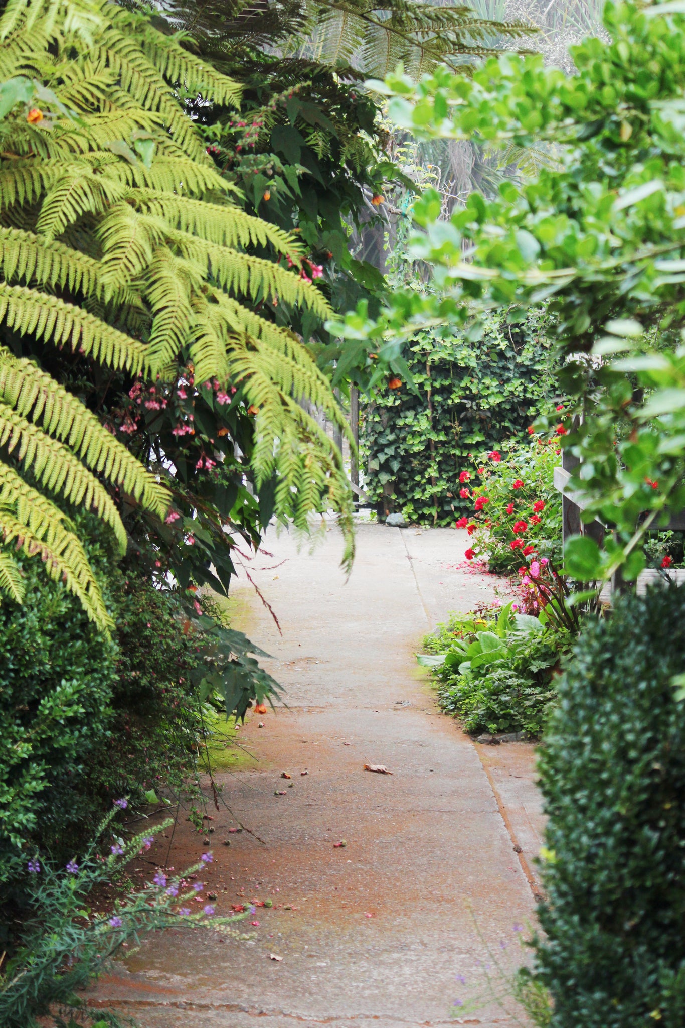 lush secret garden to the beach