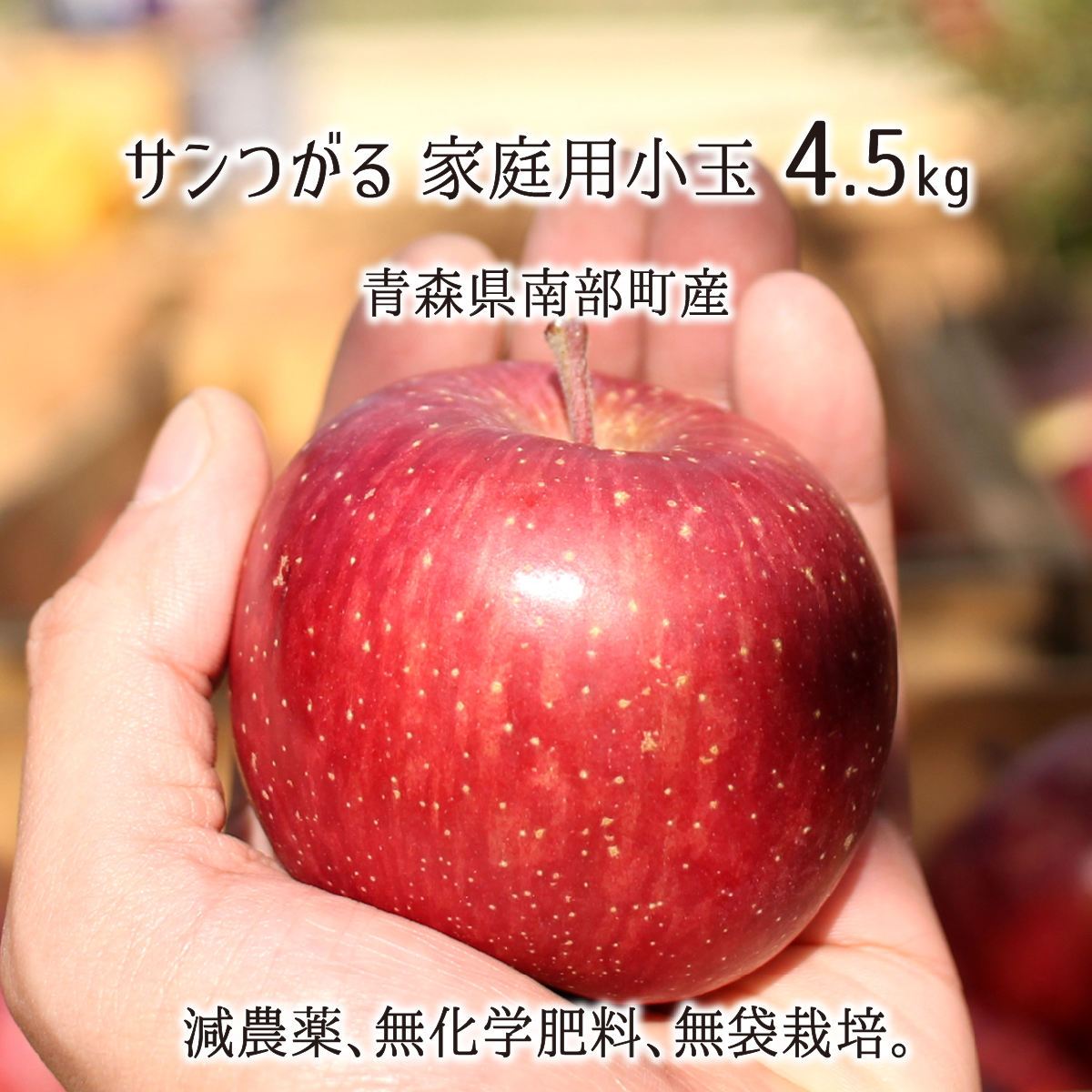加工用安曇野産減農薬摘果りんご13キロ④