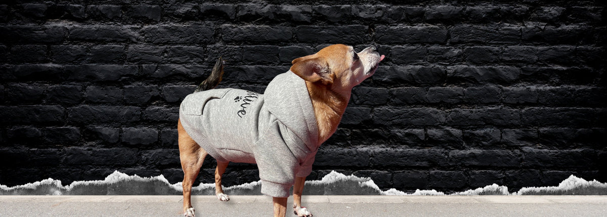 Chewnel Cotton Hoodie – KNOX DOGWEAR