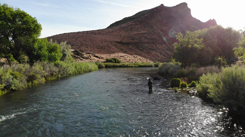 Fly fishing 