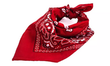 Load image into Gallery viewer, Pack of 10 or 20 Assorted Bandana
