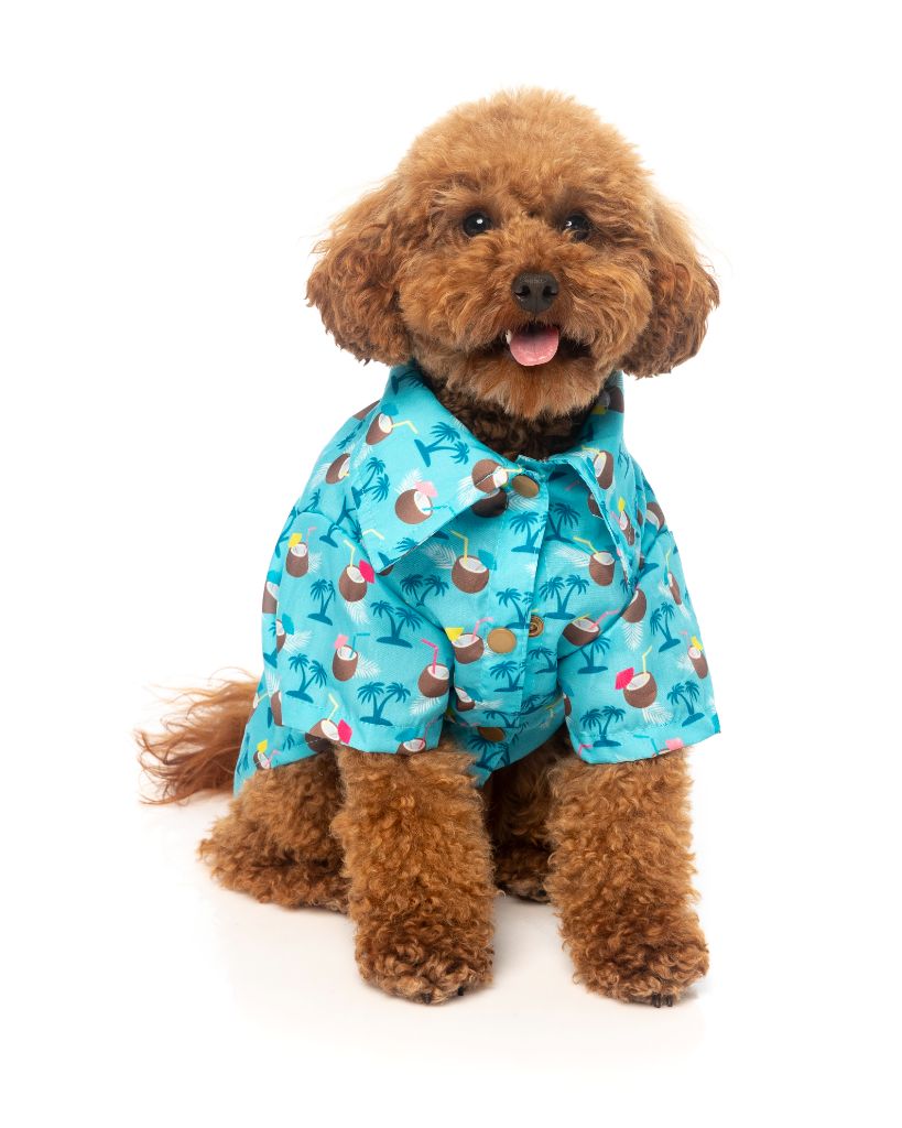 Camisa perros Blue Oasis FuzzYard