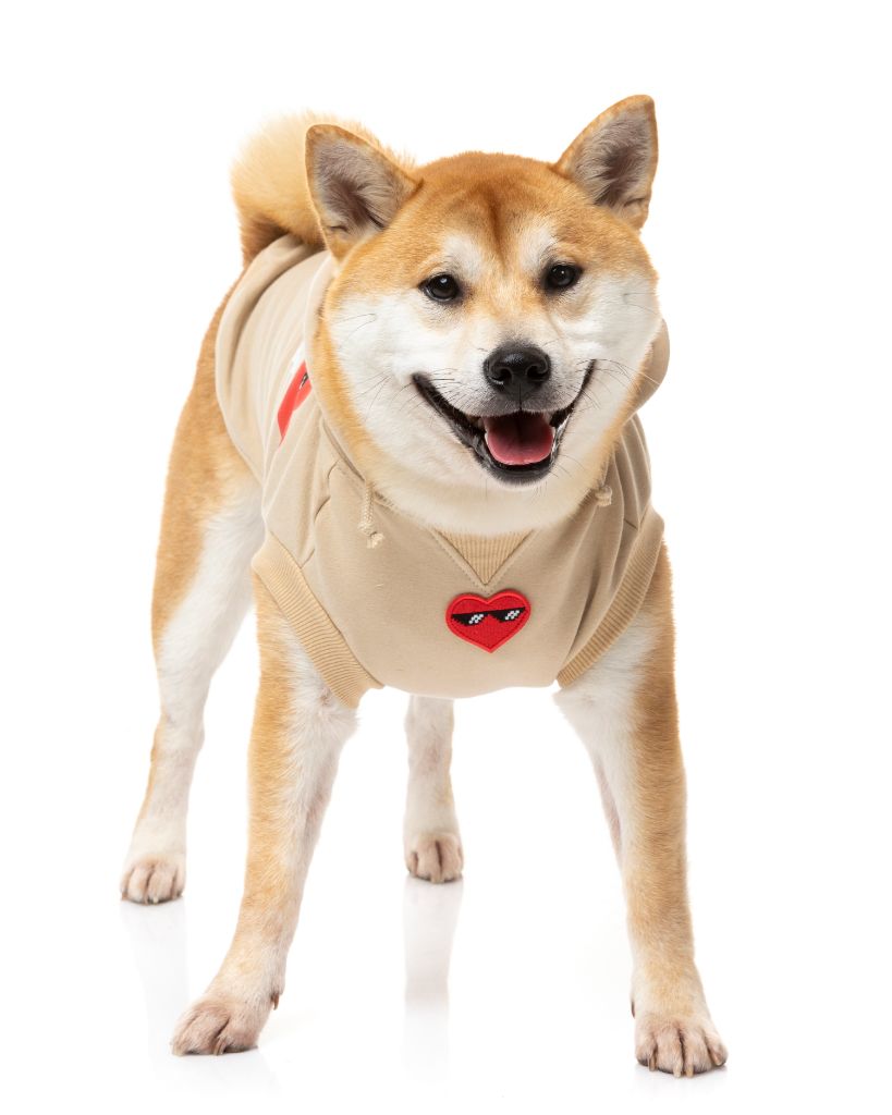 Sudadera con capucha Hoodie para perros - Heartbreaker