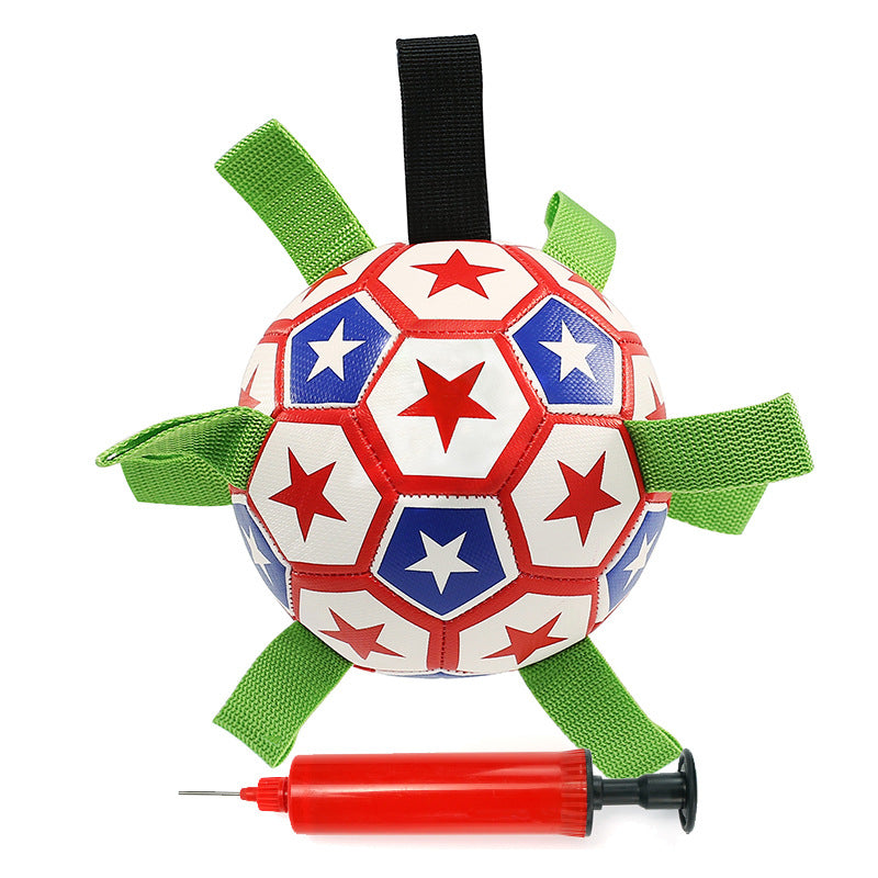 

Interactive Dog Toys Outdoor Training Toys Pet Chew Toy Dogs Football Toys - D