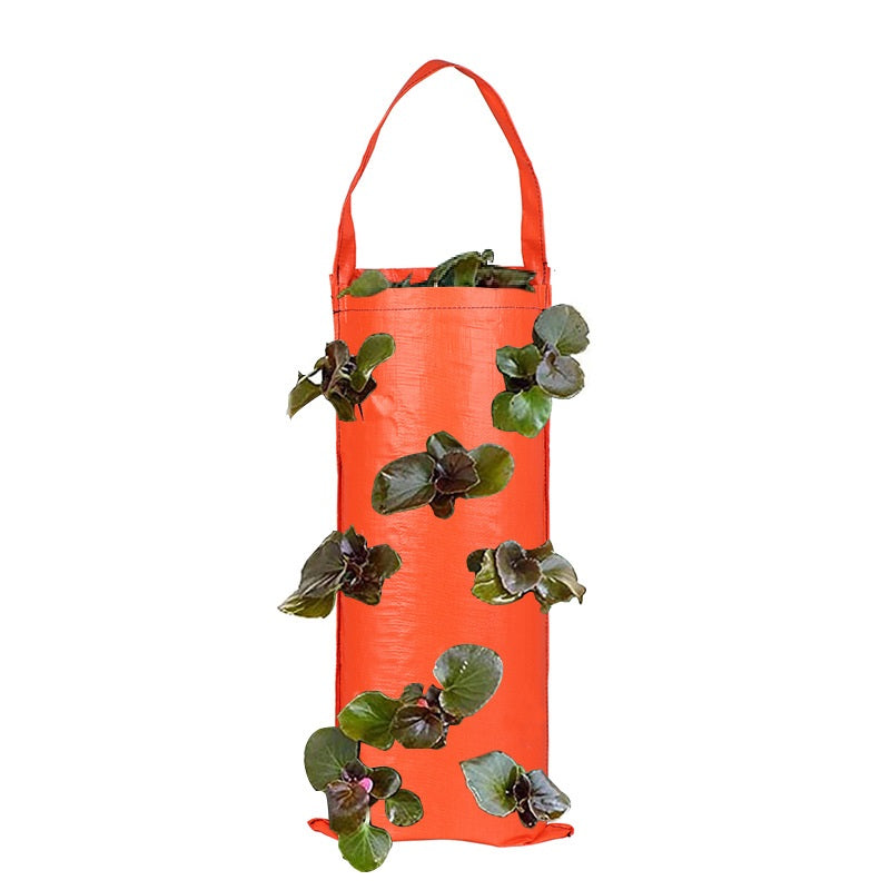 Hanging Strawberry Tomato Grow Bag Multi-Port Vertical Garden Wall Mounted Potato Grow Seedling Planting Bags - Orange / 8 Hole
Hanging Strawberry Tomato Grow Bag Multi-Port Vertical Garden Wall Mounted Potato Grow Seedling Planting Bags - Orange / 8 Hole