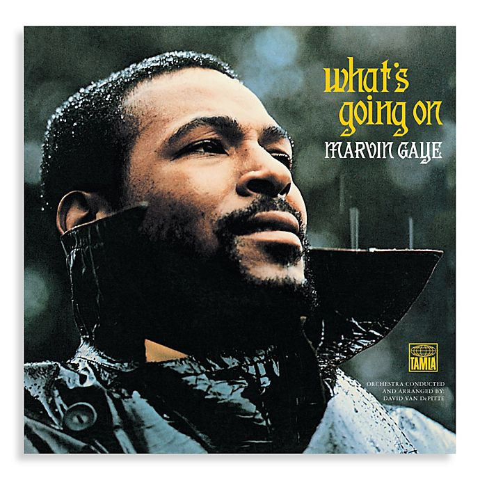 定価の88％ＯＦＦ Marvin Gaye - What's Going On 180g重量盤2枚組