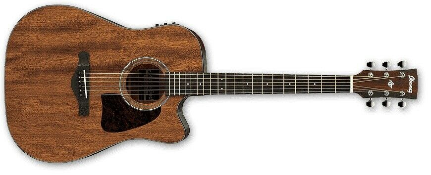 ibanez dreadnought