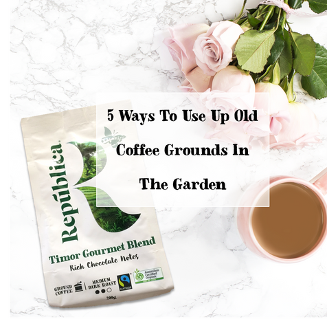 Coffee Grounds In The Garden
