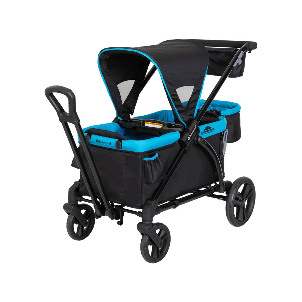 disney world buggy hire