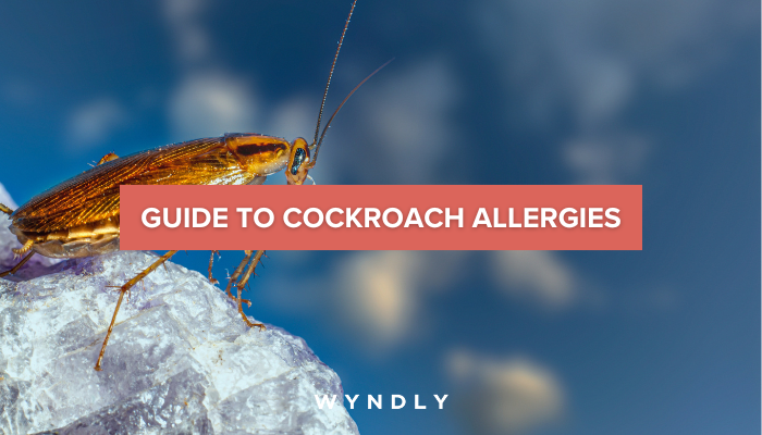 Cockroach Allergy Cause Symptoms Treatment 2023 And Wyndly 5002