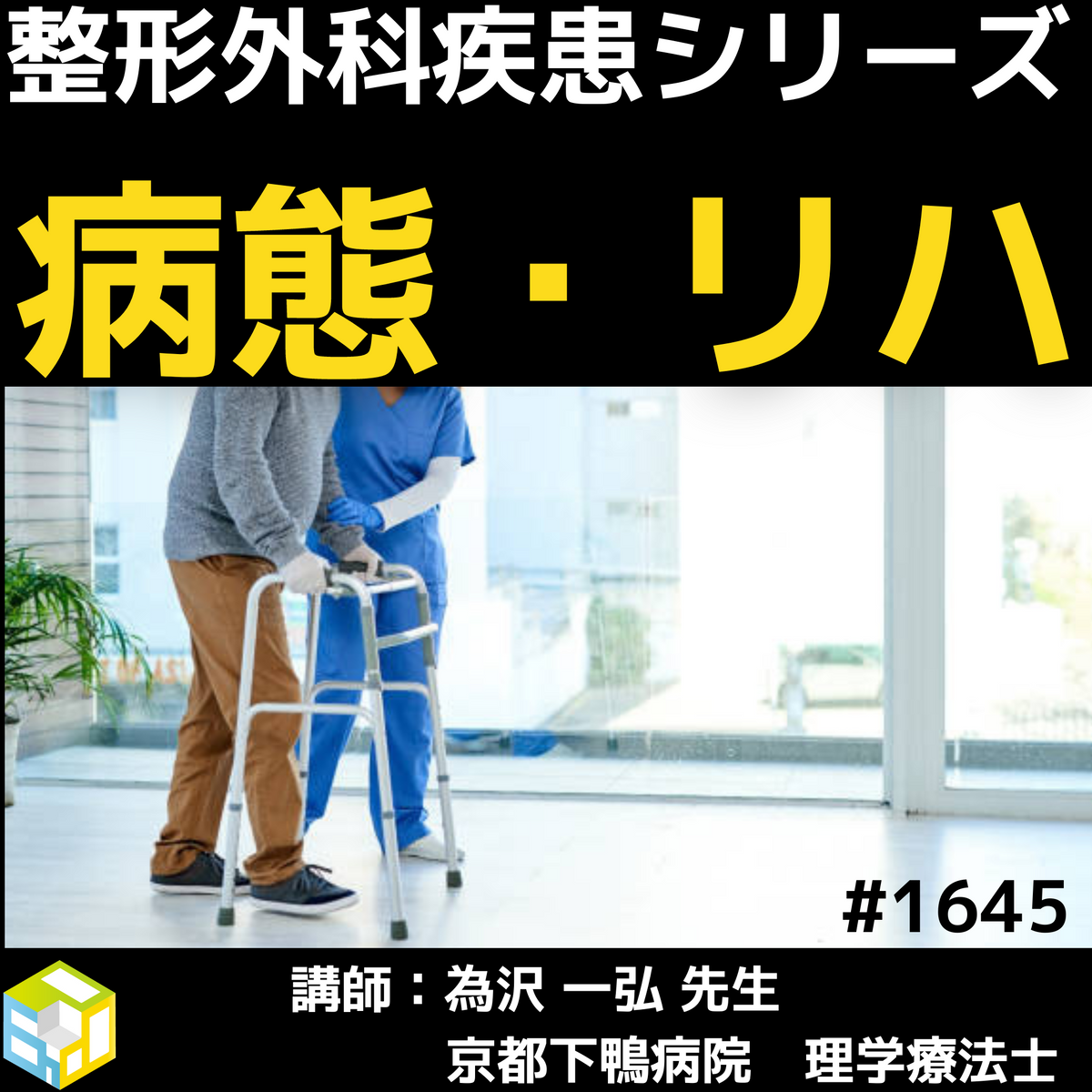 腰痛変性疾患術後の理学療法ガイド ジャパンライム-