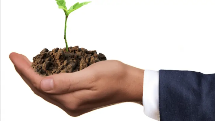 L’hybridation végétale, doit-on s’en méfier ?