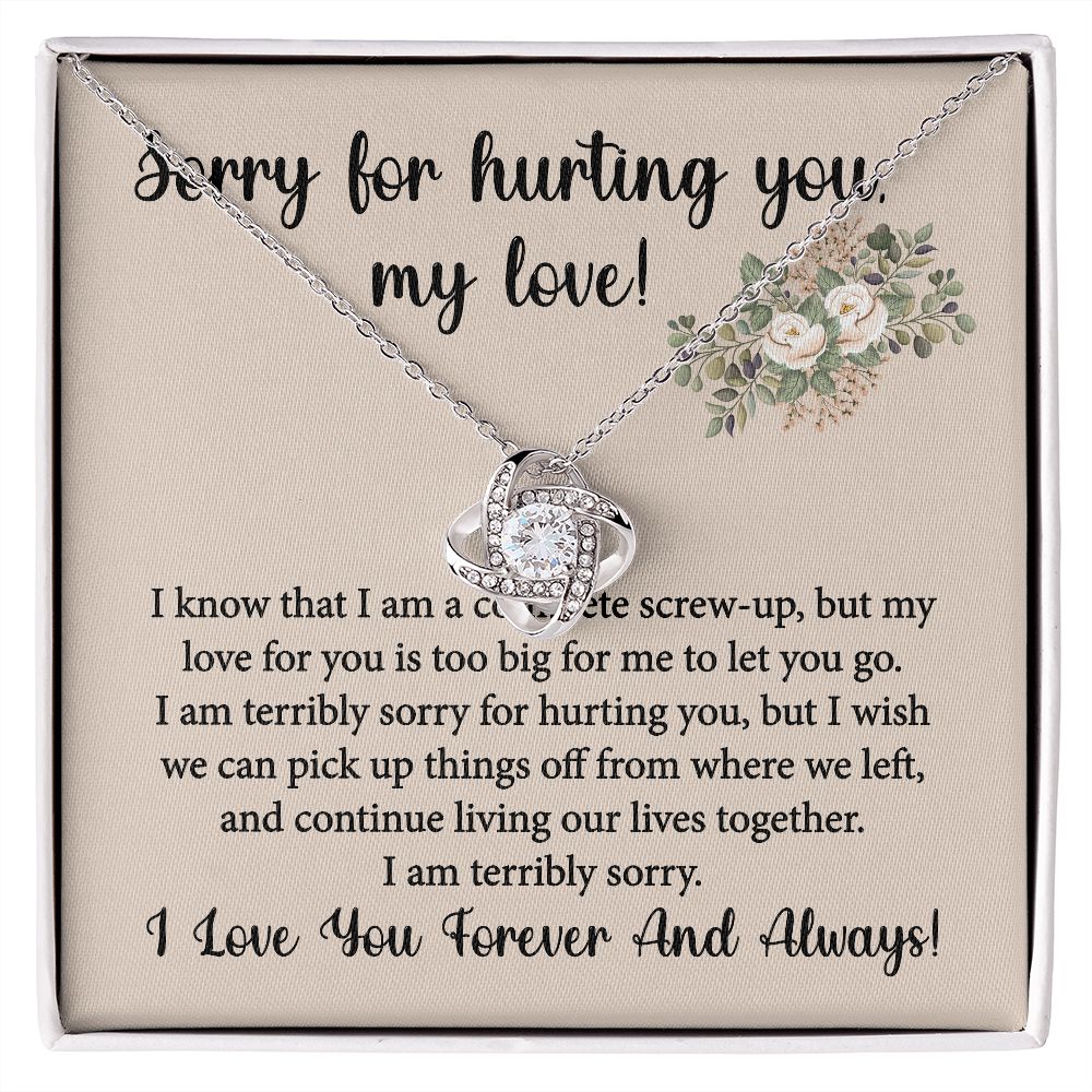 Sorry For Hurting You Necklace, Forgiveness Gift, Apology Gift for ...