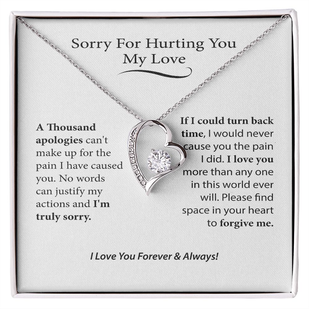 I'm Sorry Gift For Her, Forgiveness Necklace,B0BLLXT3Q8 JWSN110631 ...