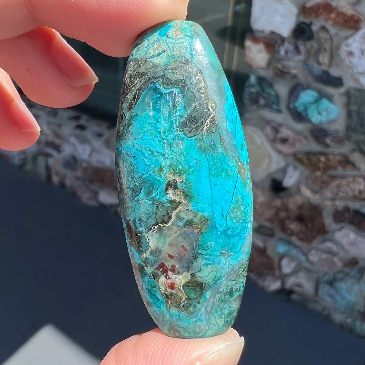 A barrel cabochon cut turquoise from Kingman, Arizona.