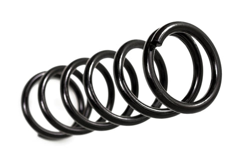 BDS - 6" Ram Coil Springs (Pair)
