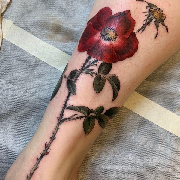 poppy tattoo