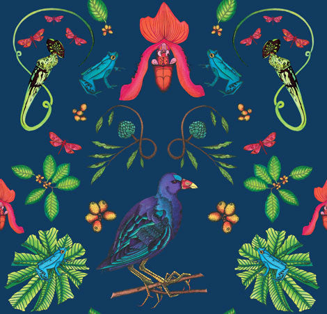 Gallinule Tropical Bird Wallpaper – Wilful Ink