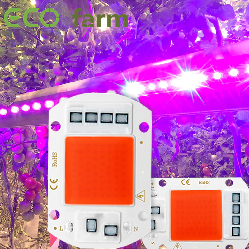 The Cheapest ECO Farm 10W/20W/30W/50W Smart IC Full Spectrum LED Grow Light LED Seedling Planting For Sale