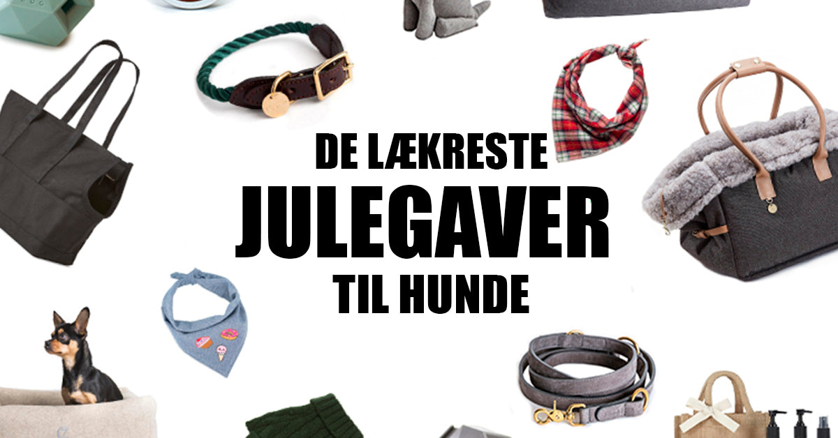 julegaver til hunde