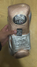 Load and play video in Gallery viewer, 10oz Pro Fight Glove
