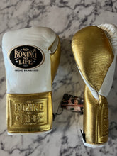 Load image into Gallery viewer, 10oz Pro Fight Glove
