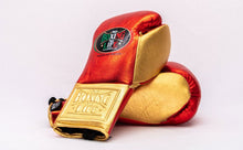 Load image into Gallery viewer, 10oz Pro Fight Glove

