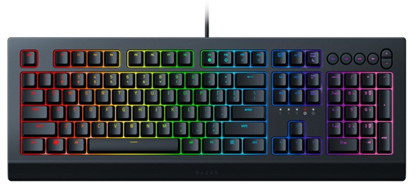 cynosa gaming keyboard