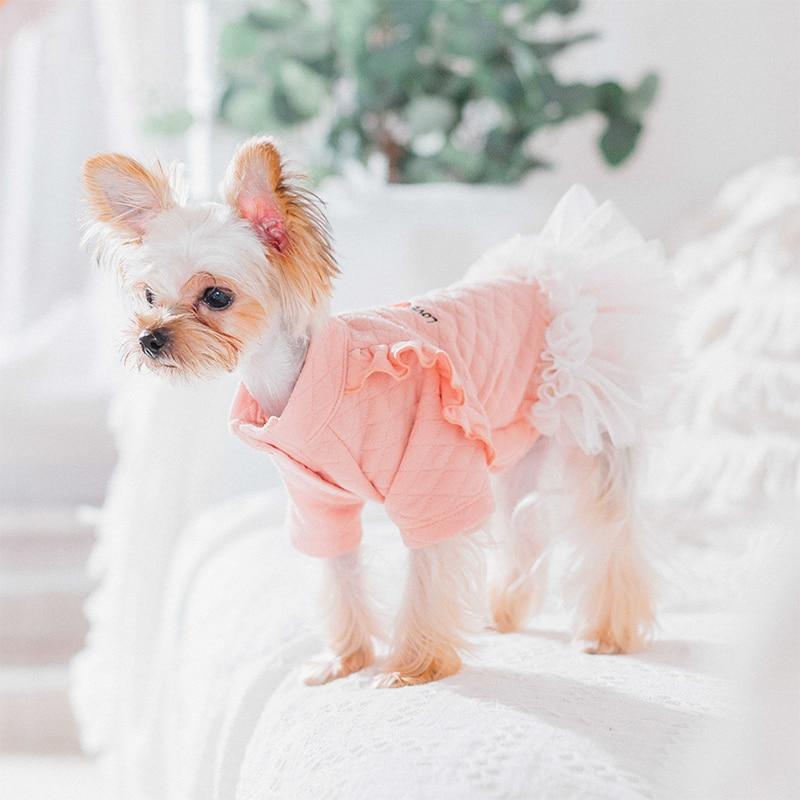 why do dogs love wearing clothes