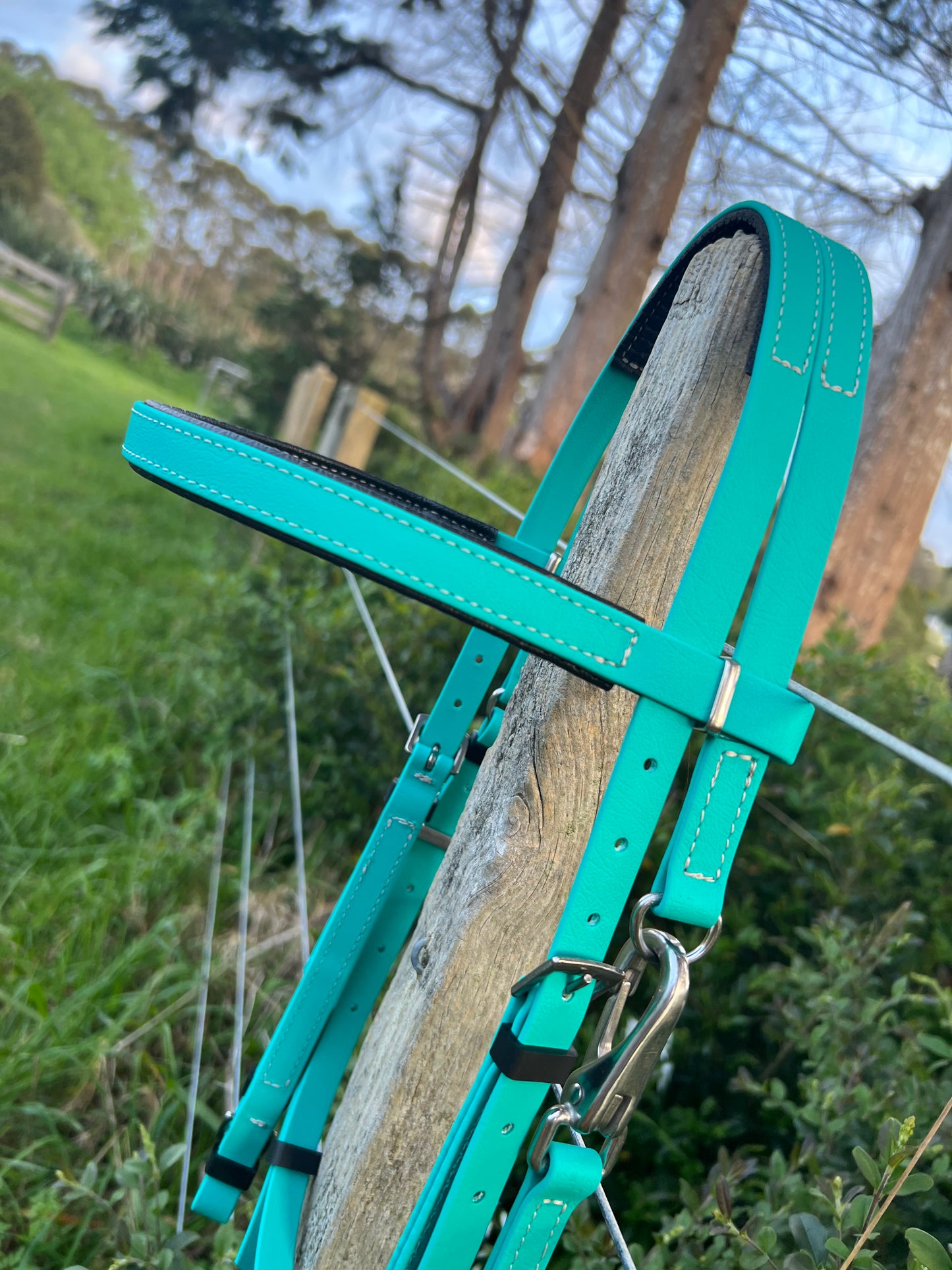 Race / Hackamore Bridle - Design your own