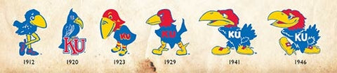 Evolution of the Jayhawk