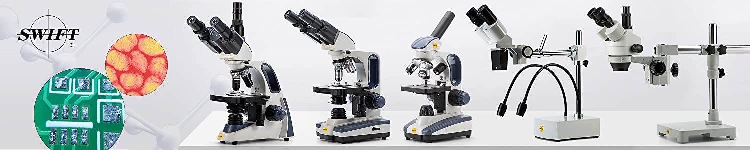 Compound Microscope