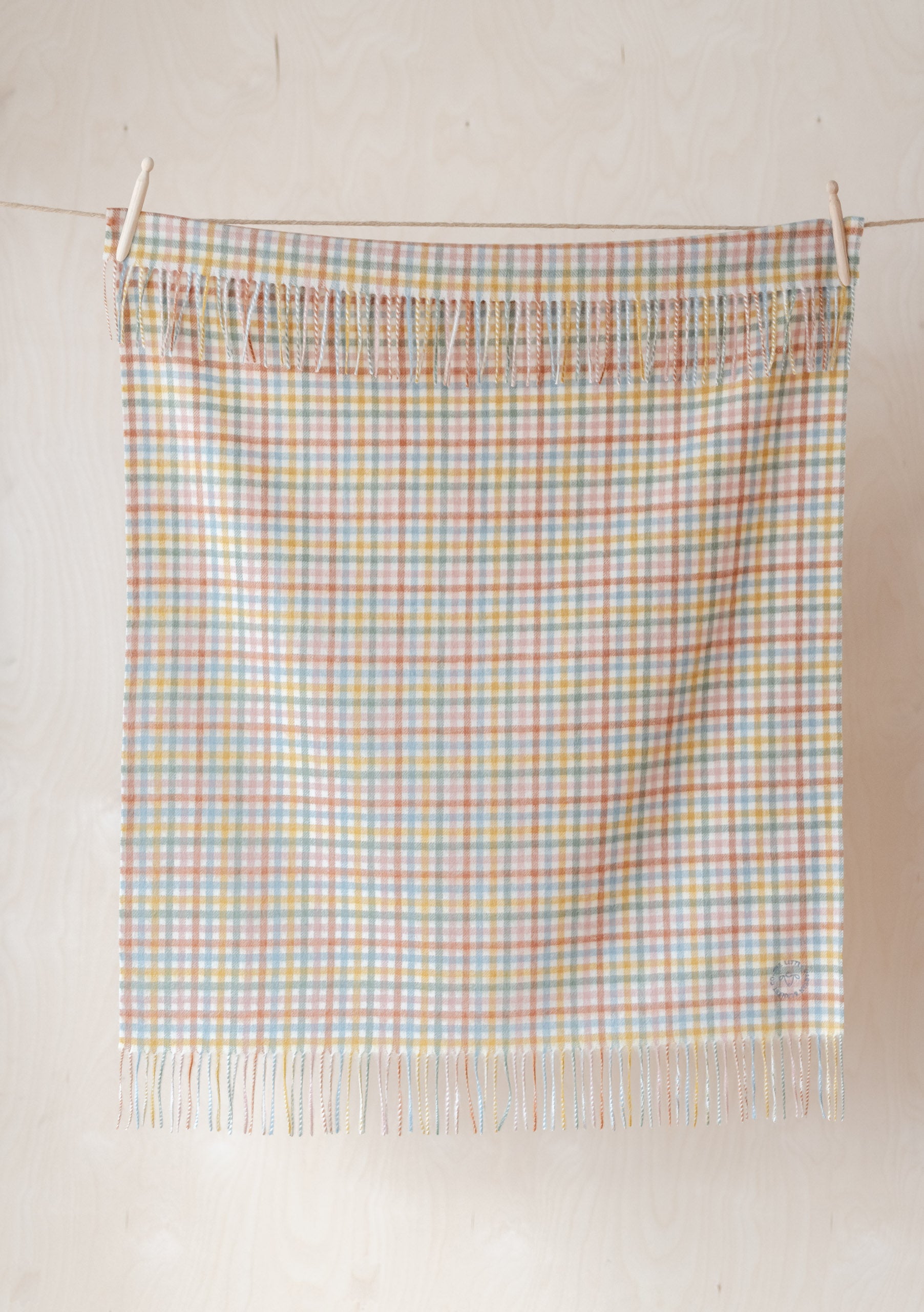 Super Soft Lambswool Baby Blanket in Rainbow Gingham