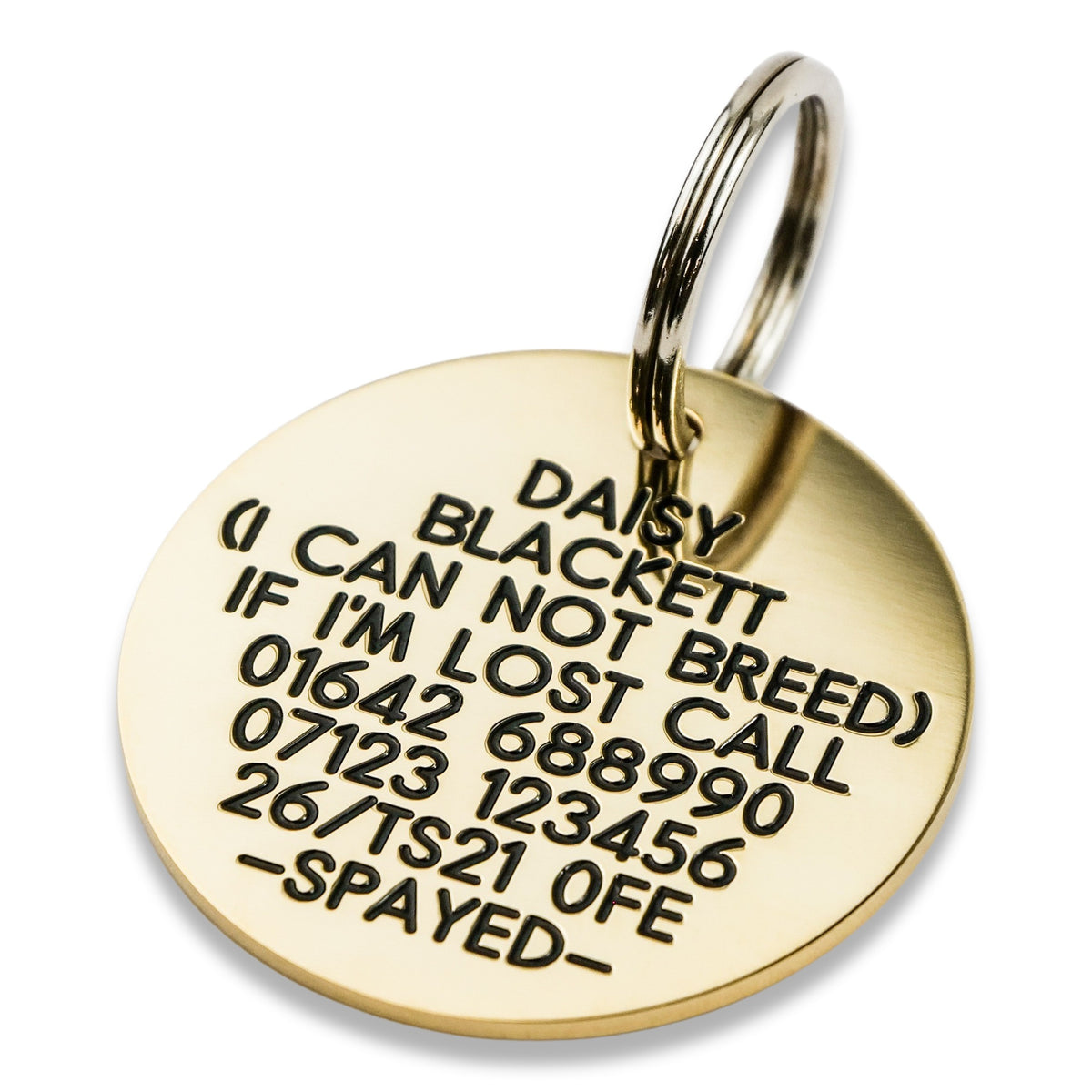 what should you put on your dogs tag