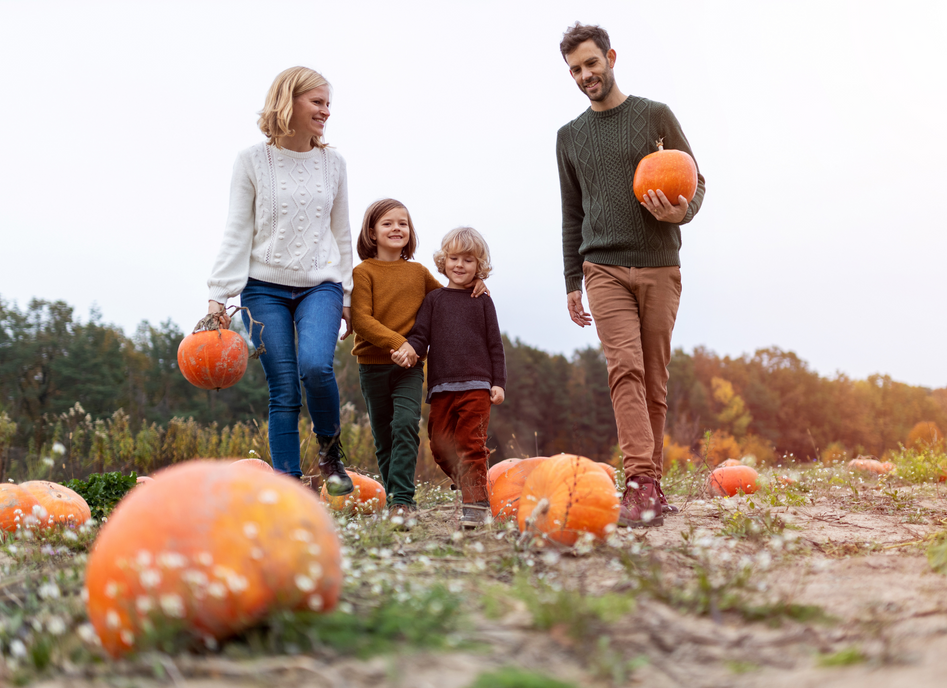 5 Unique Things to Do With Pumpkins This Fall Season