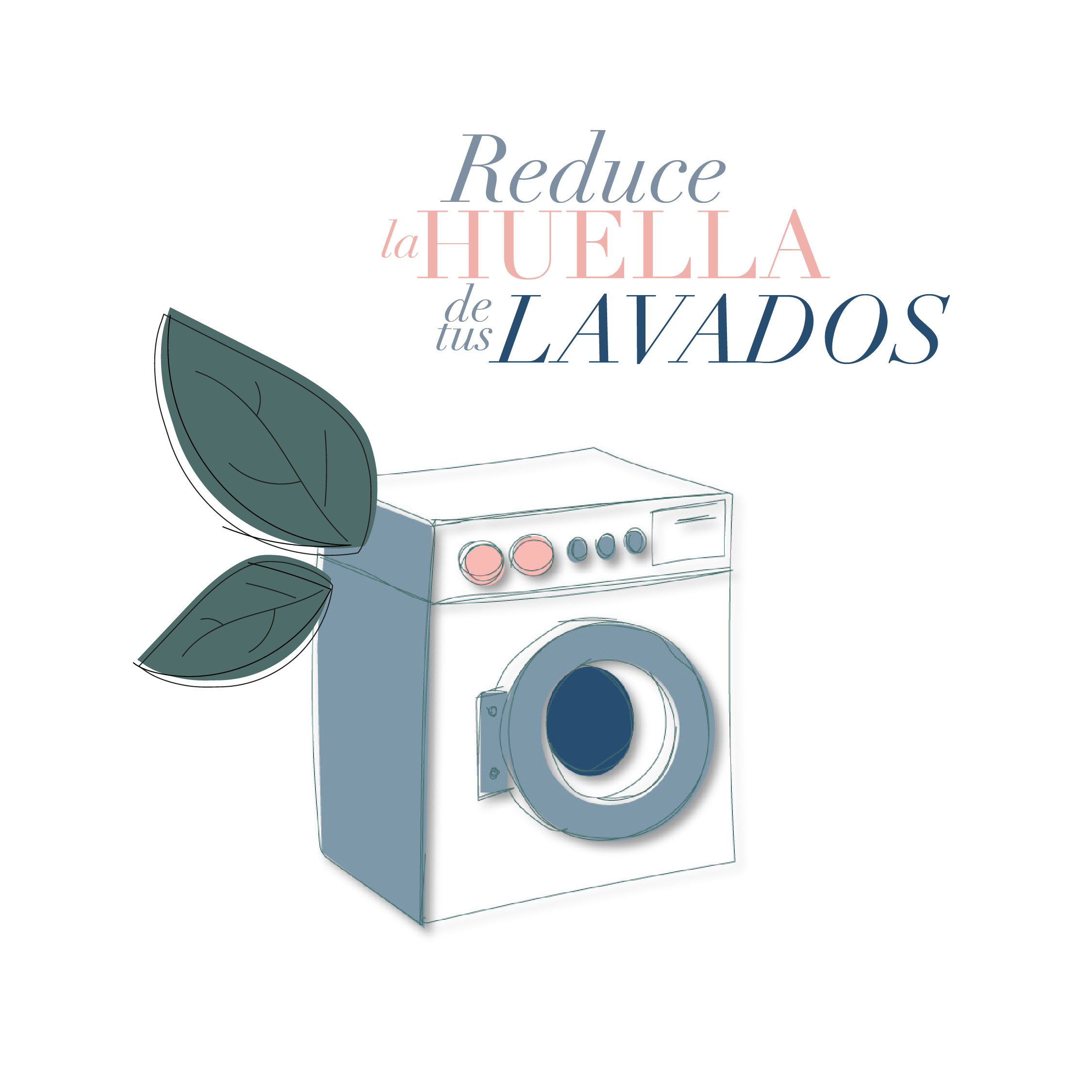LAVADO SOSTENIBLE: ¿Cómo lavar tu ropa de ecológica y económica? – Pol Avè