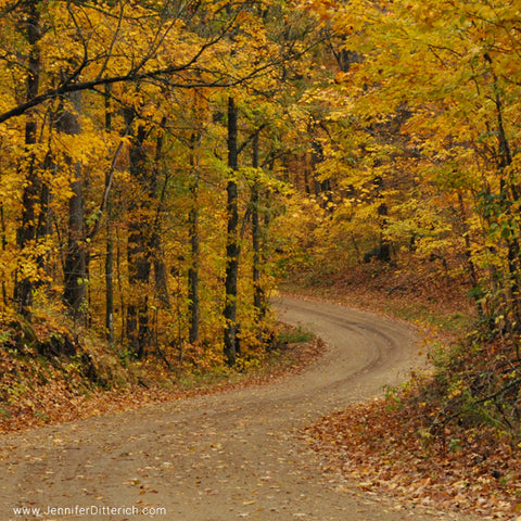 Country Road in Autumn by Jennifer Ditterich