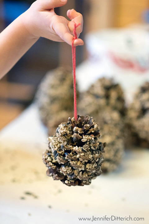 How to Make Pinecone Birdfeeder Ornaments by Jennifer Ditterich Designs