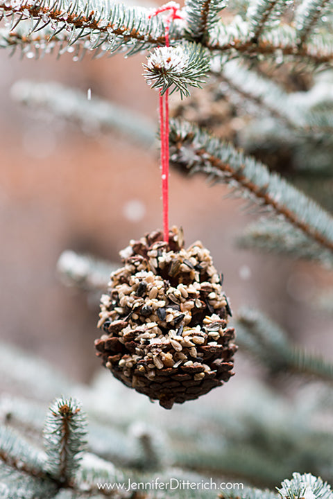 DIY Christmas treats for the birds by Jennifer Ditterich Designs