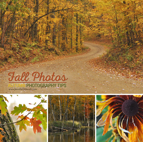Fall Photography by Jennifer Ditterich Designs