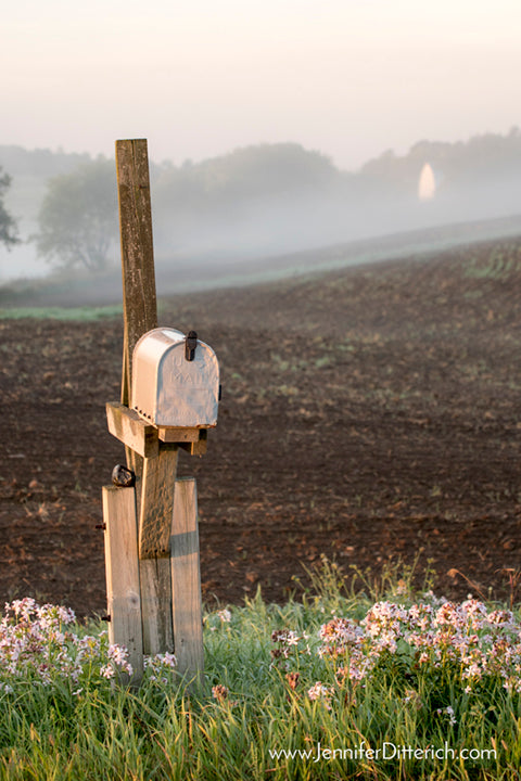Farm Mailbox Photograph by Jennifer Ditterich Designs