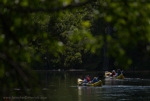 Gull Lake Photograph by Jennifer Ditterich Designs