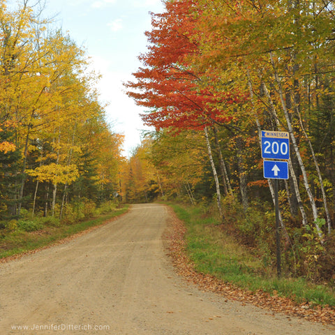 MN Highway 200 in Autumn by Jennifer Ditterich