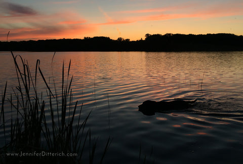 Photographing Your Lake Time by Jennifer Ditterich Designs